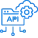 api development